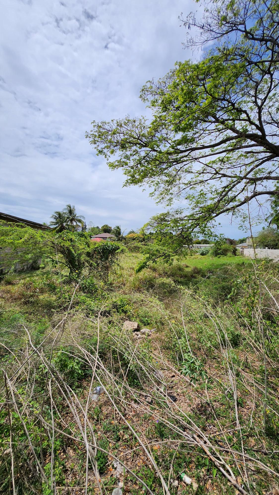 Fourth image of 31 Chang Avenue in May Pen, Clarendon, Jamaica - property is For Sale