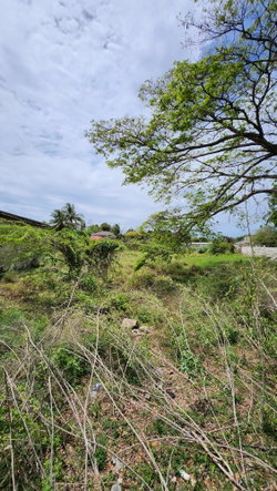 Fourth image of 31 Chang Avenue in May Pen, Clarendon, Jamaica - property is For Sale