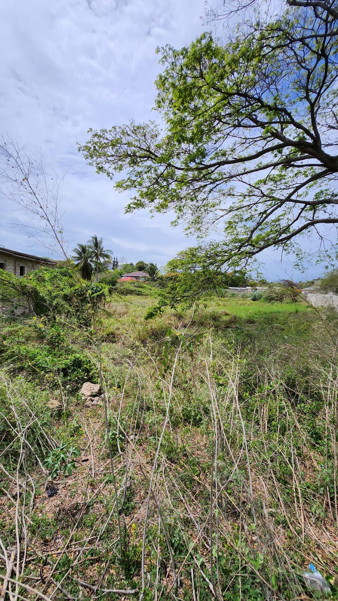 Fifth image of 31 Chang Avenue in May Pen, Clarendon, Jamaica - property is For Sale