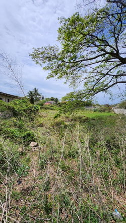 Fifth image of 31 Chang Avenue in May Pen, Clarendon, Jamaica - property is For Sale