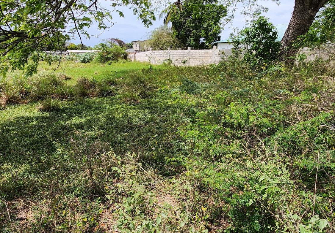 Sixth image of 31 Chang Avenue in May Pen, Clarendon, Jamaica - property is For Sale