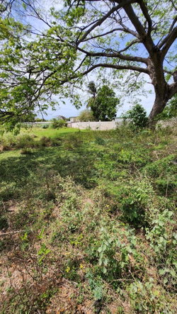 Sixth image of 31 Chang Avenue in May Pen, Clarendon, Jamaica - property is For Sale