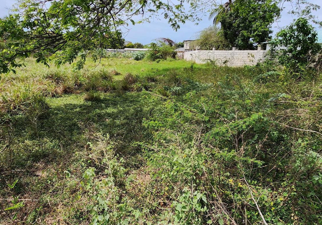 Seventh image of 31 Chang Avenue in May Pen, Clarendon, Jamaica - property is For Sale