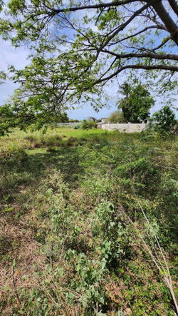 Seventh image of 31 Chang Avenue in May Pen, Clarendon, Jamaica - property is For Sale