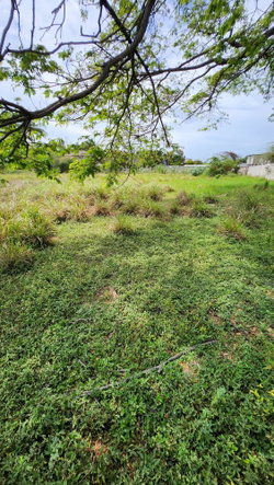 First image of 31 Chang Avenue in May Pen, Clarendon, Jamaica - property is For Sale