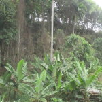 First image of 5 Woodlawn Road in Mandeville, Manchester, Jamaica - property is For Sale