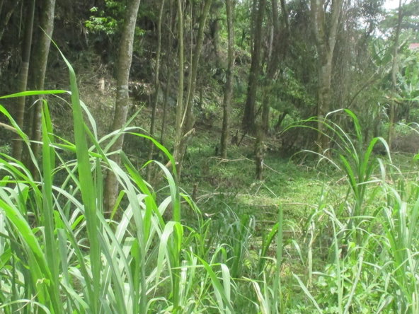 Fourth image of 5 Woodlawn Road in Mandeville, Manchester, Jamaica - property is For Sale