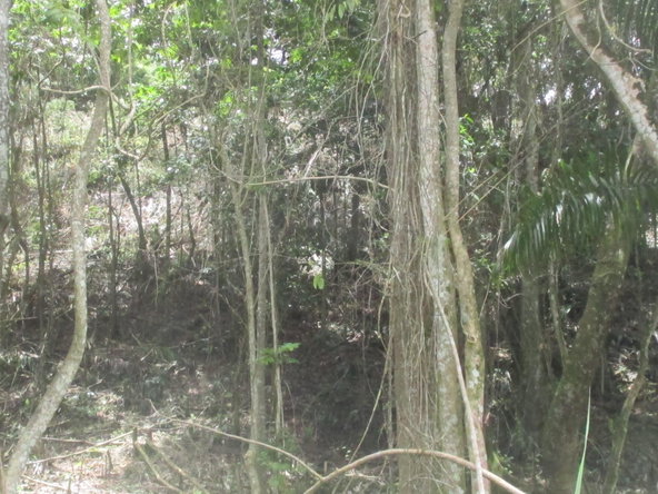 Fifth image of 5 Woodlawn Road in Mandeville, Manchester, Jamaica - property is For Sale