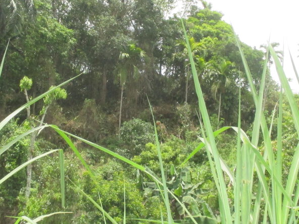 Seventh image of 5 Woodlawn Road in Mandeville, Manchester, Jamaica - property is For Sale