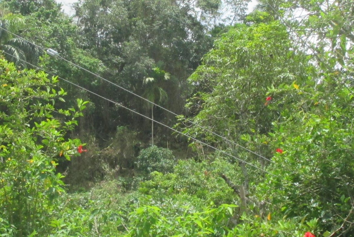 Eighth image of 5 Woodlawn Road in Mandeville, Manchester, Jamaica - property is For Sale