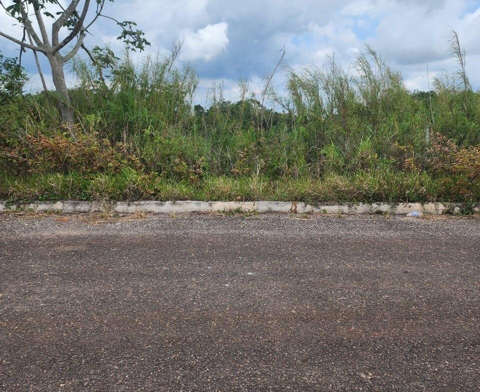 Second image of 261 Blenheim,salmon Town p a, in Salmon Town, Manchester, Jamaica - property is For Sale