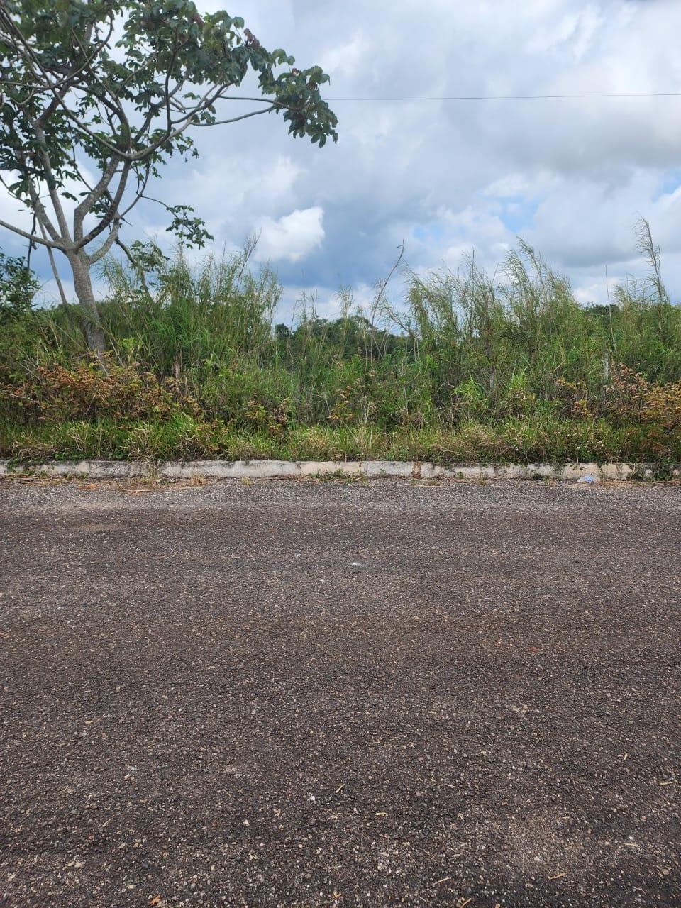 Prime-Residential-Lot-for-Sale-in-Manchester-Jamaica-261-Blenheim Second image of 261 Blenheim,salmon Town p a, in Salmon Town, Manchester, Jamaica - property is For Sale