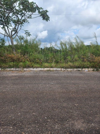 Second image of 261 Blenheim,salmon Town p a, in Salmon Town, Manchester, Jamaica - property is For Sale