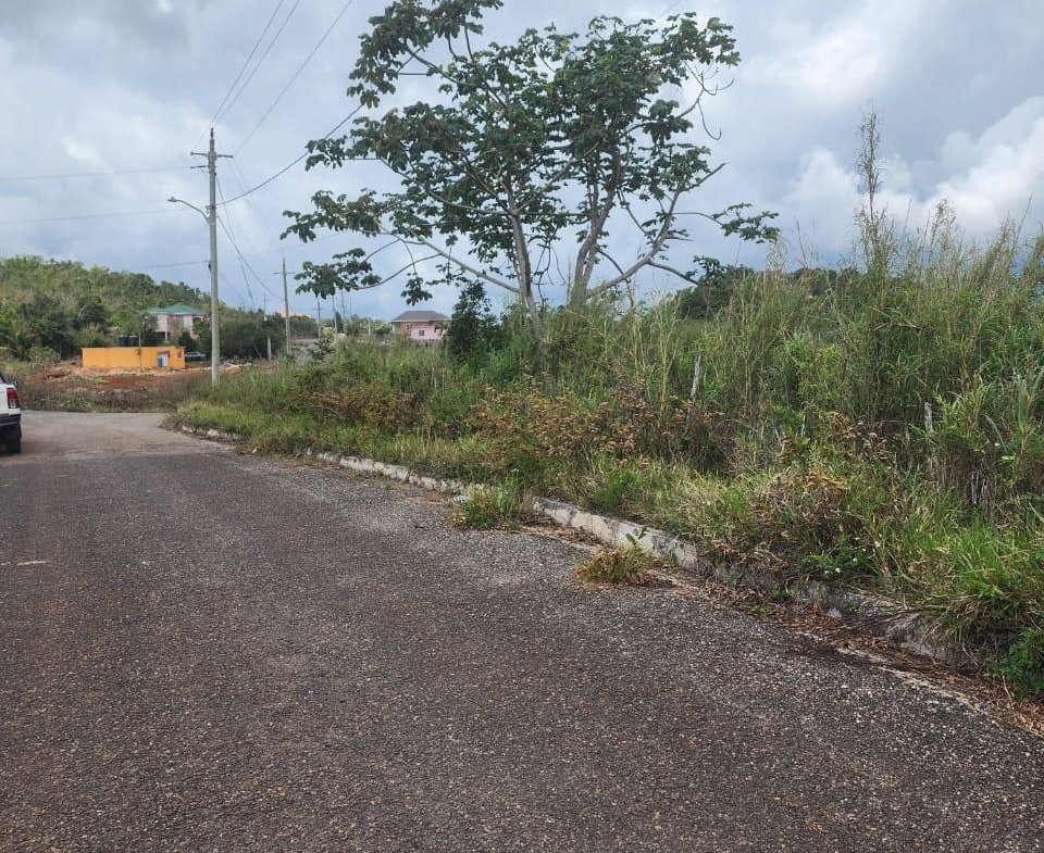 Fourth image of 261 Blenheim,salmon Town p a, in Salmon Town, Manchester, Jamaica - property is For Sale