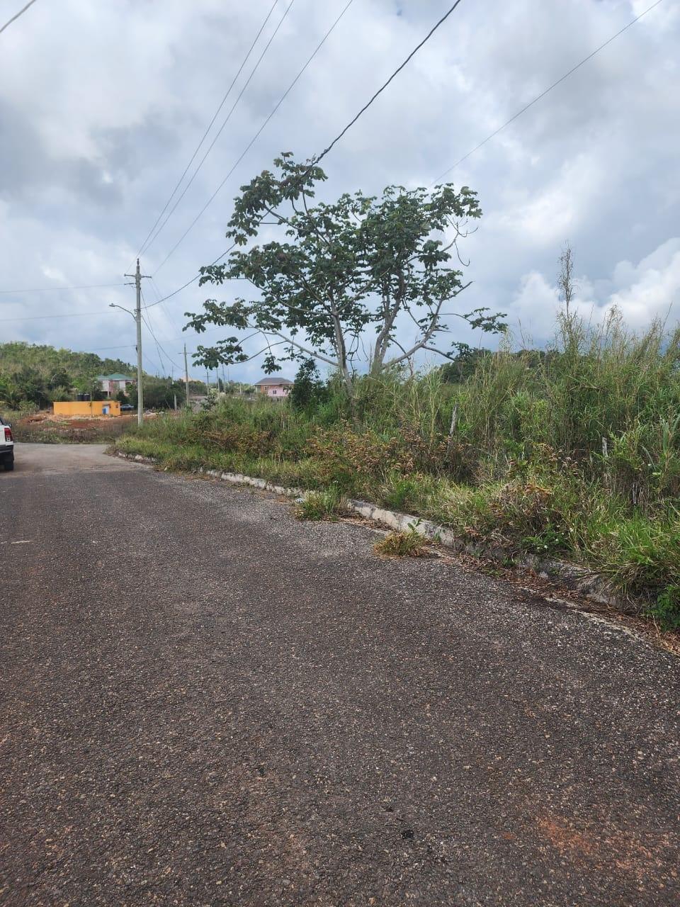 Prime-Residential-Lot-for-Sale-in-Manchester-Jamaica-261-Blenheim Fourth image of 261 Blenheim,salmon Town p a, in Salmon Town, Manchester, Jamaica - property is For Sale