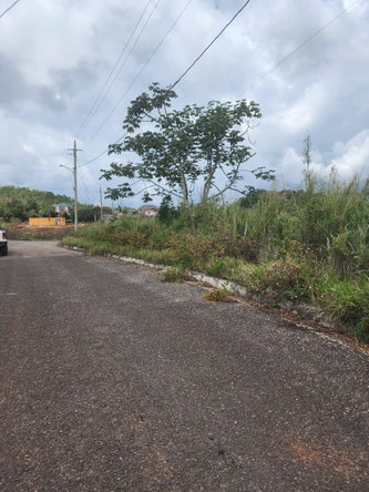 Fourth image of 261 Blenheim,salmon Town p a, in Salmon Town, Manchester, Jamaica - property is For Sale