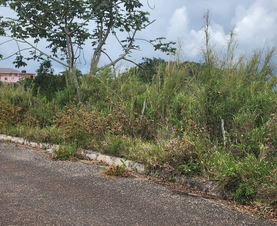Sixth image of 261 Blenheim,salmon Town p a, in Salmon Town, Manchester, Jamaica - property is For Sale