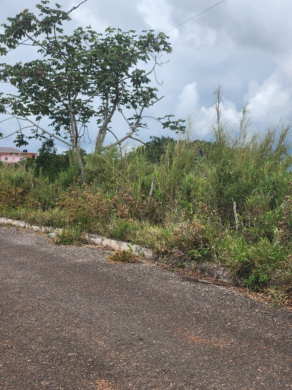 Prime-Residential-Lot-for-Sale-in-Manchester-Jamaica-261-Blenheim Sixth image of 261 Blenheim,salmon Town p a, in Salmon Town, Manchester, Jamaica - property is For Sale