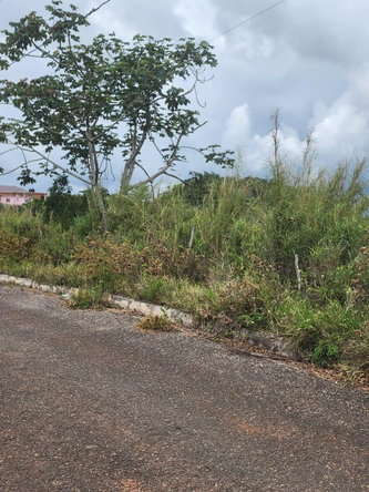 Sixth image of 261 Blenheim,salmon Town p a, in Salmon Town, Manchester, Jamaica - property is For Sale