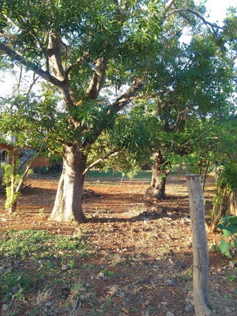 Fourth image of Prospect, Manchester in Prospect, Manchester, Jamaica - property is For Sale