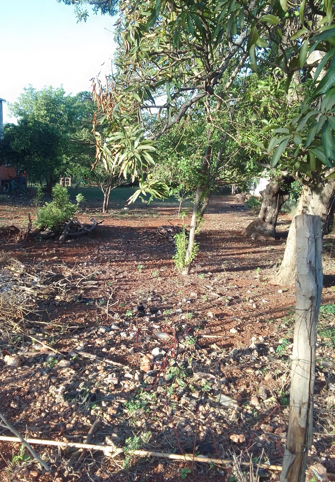 Fifth image of Prospect, Manchester in Prospect, Manchester, Jamaica - property is For Sale