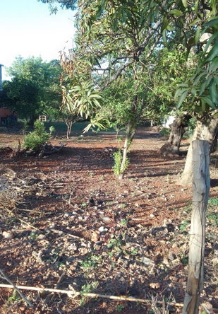 Fifth image of Prospect, Manchester in Prospect, Manchester, Jamaica - property is For Sale