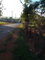 First image of Prospect, Manchester in Prospect, Manchester, Jamaica - property is For Sale