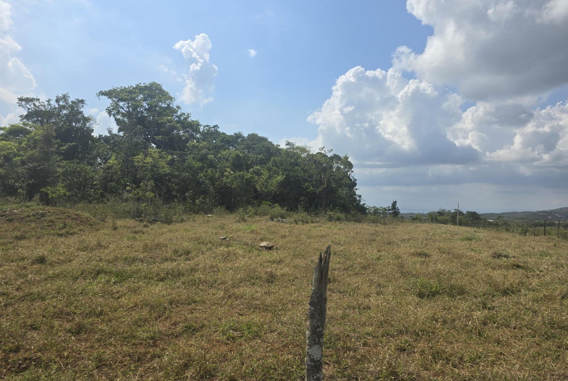 Second image of 299 Newark Grove in Spur Tree, Manchester, Jamaica - property is For Sale