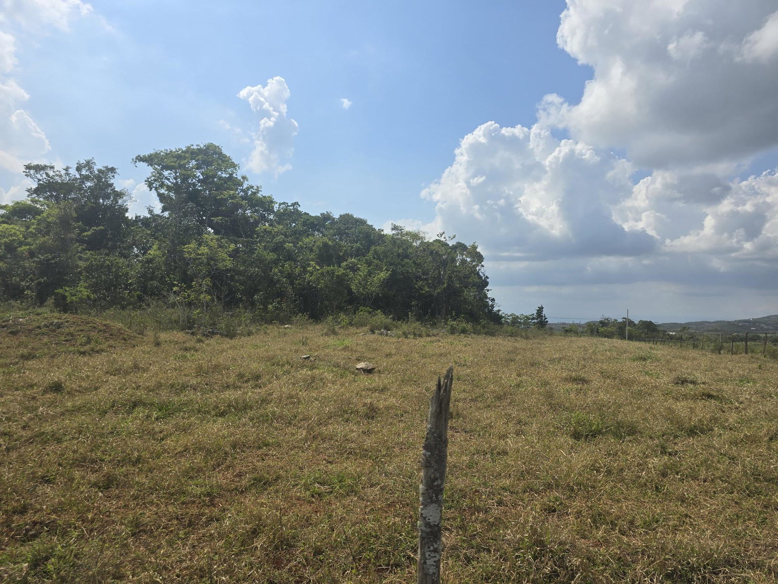 Residential-Land-for-Sale-in-Newark-Grove-Manchester-0.25-Acre Second image of 299 Newark Grove in Spur Tree, Manchester, Jamaica - property is For Sale