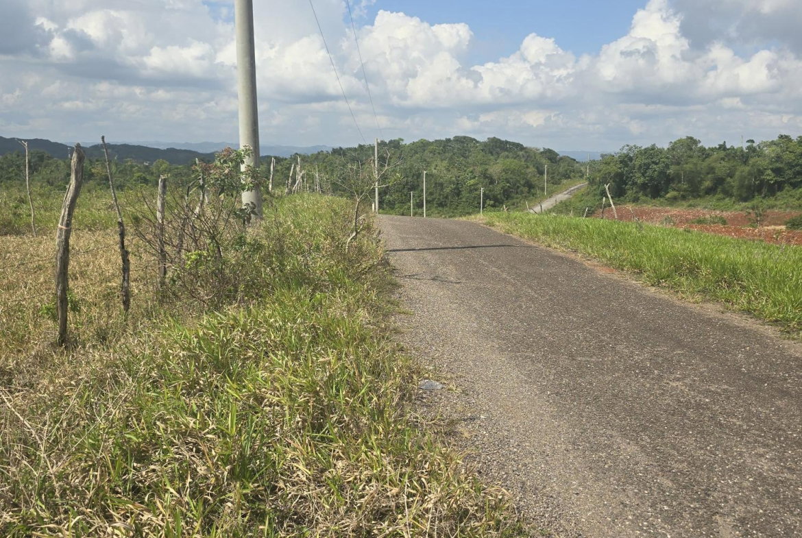 First image of 299 Newark Grove in Spur Tree, Manchester, Jamaica - property is For Sale