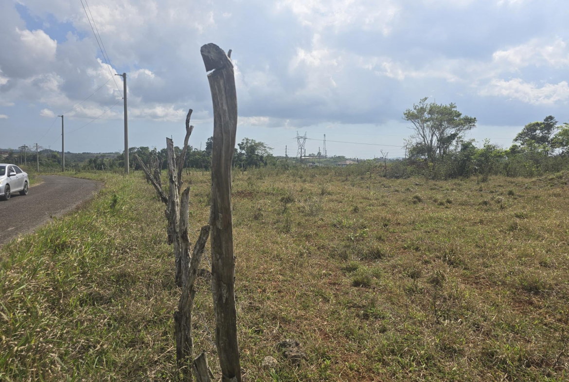 Third image of 299 Newark Grove in Spur Tree, Manchester, Jamaica - property is For Sale