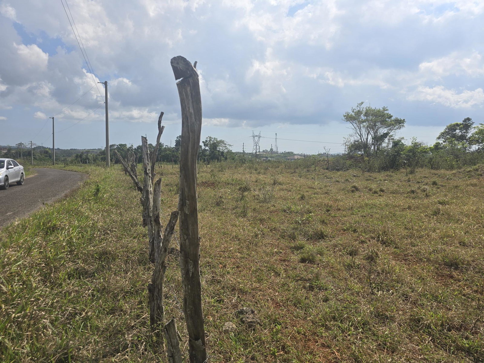 Residential-Land-for-Sale-in-Newark-Grove-Manchester-0.25-Acre Third image of 299 Newark Grove in Spur Tree, Manchester, Jamaica - property is For Sale