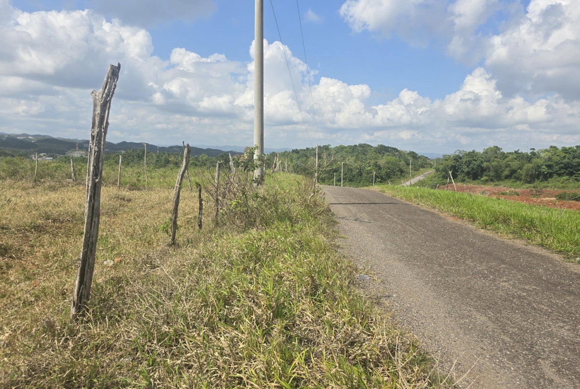 Fourth image of 299 Newark Grove in Spur Tree, Manchester, Jamaica - property is For Sale