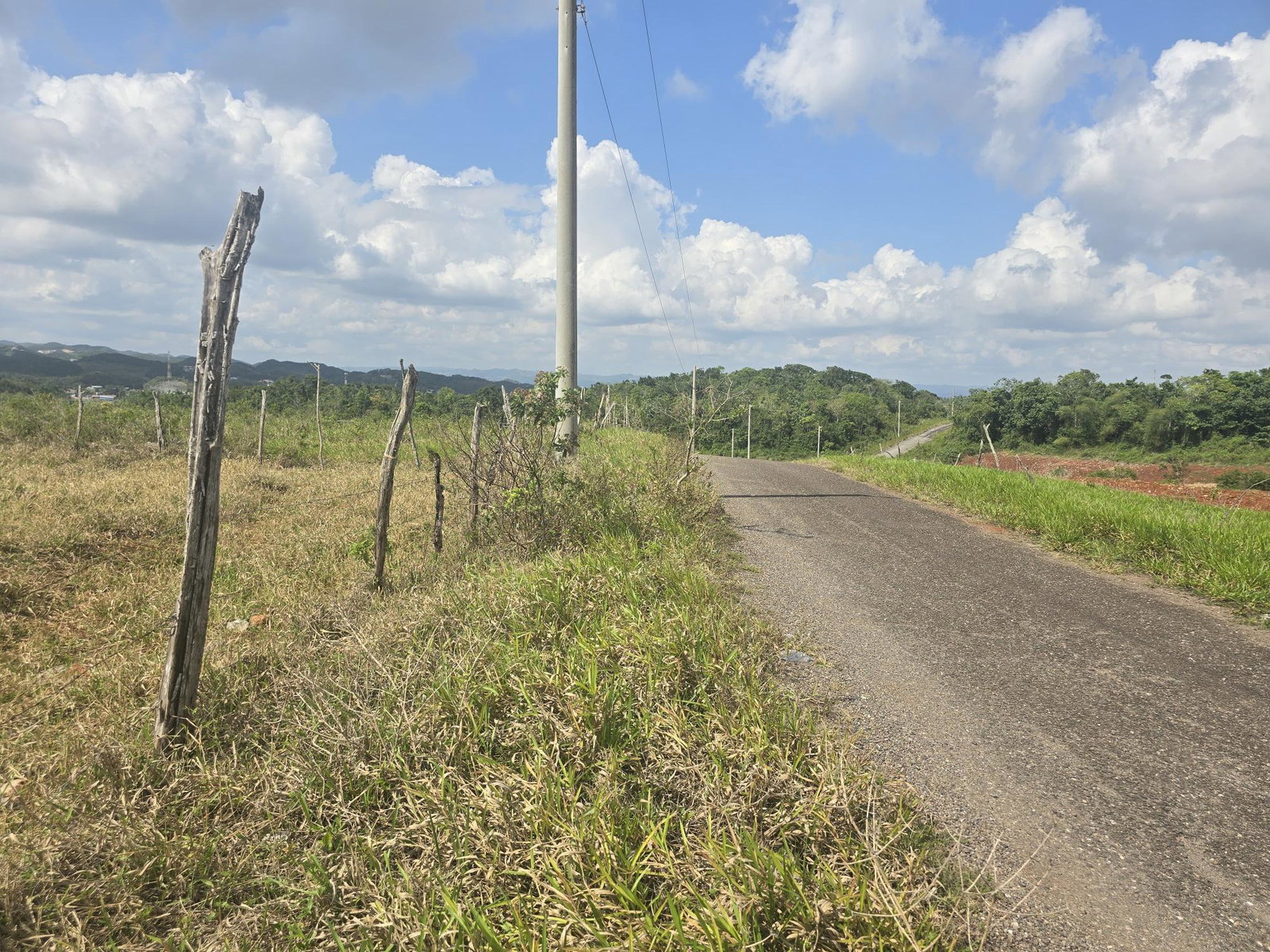 Residential-Land-for-Sale-in-Newark-Grove-Manchester-0.25-Acre Fourth image of 299 Newark Grove in Spur Tree, Manchester, Jamaica - property is For Sale