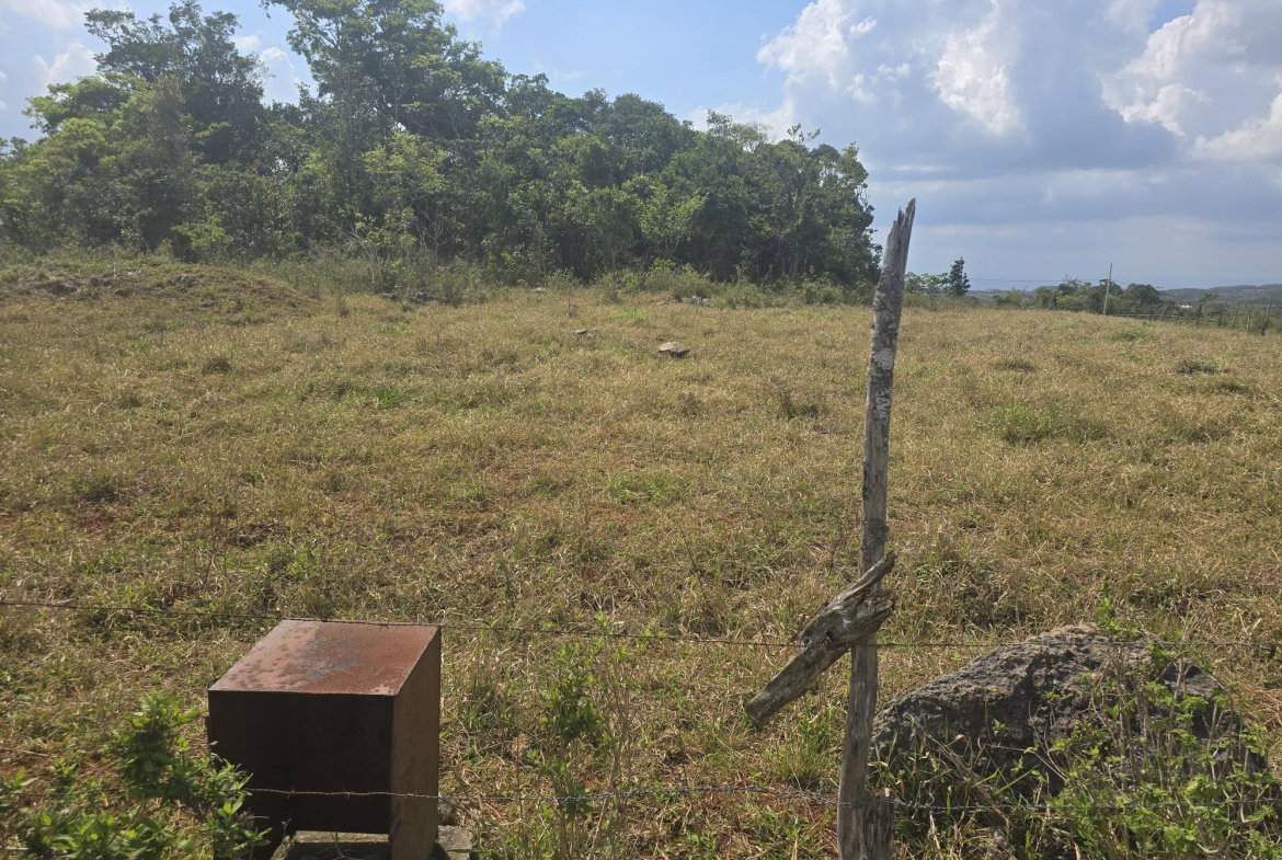 Fifth image of 299 Newark Grove in Spur Tree, Manchester, Jamaica - property is For Sale