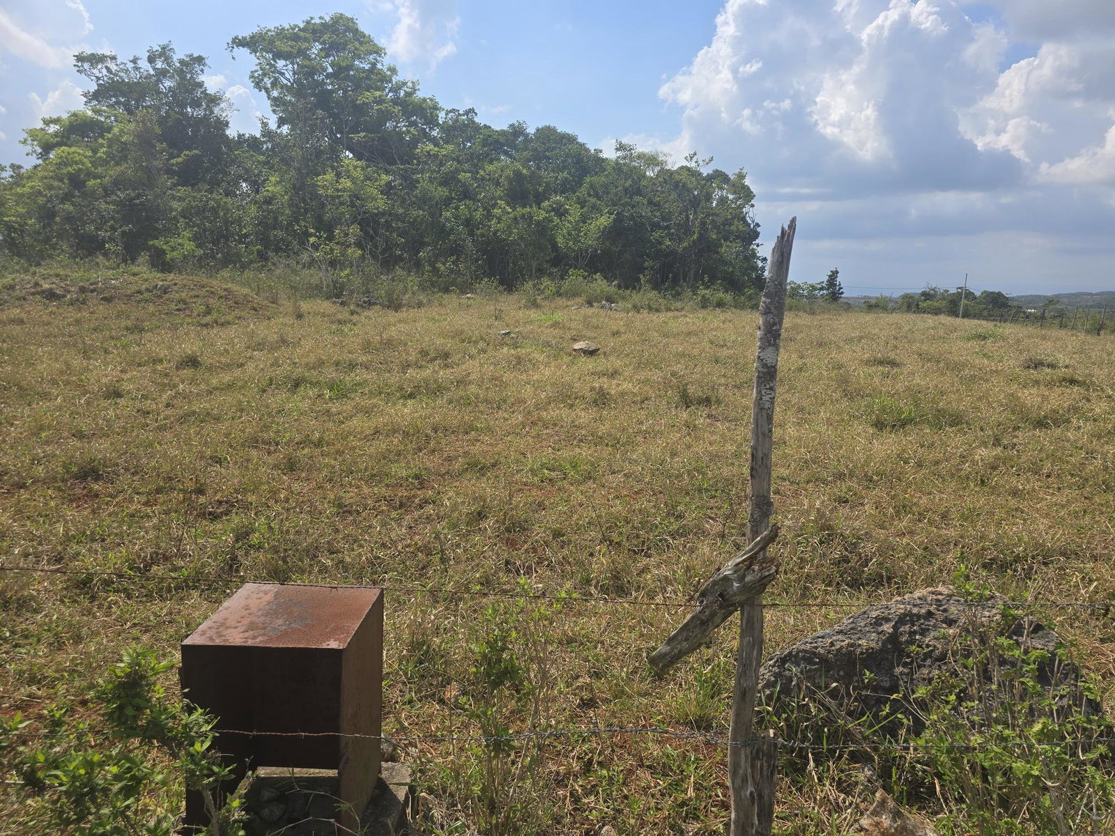 Residential-Land-for-Sale-in-Newark-Grove-Manchester-0.25-Acre Fifth image of 299 Newark Grove in Spur Tree, Manchester, Jamaica - property is For Sale