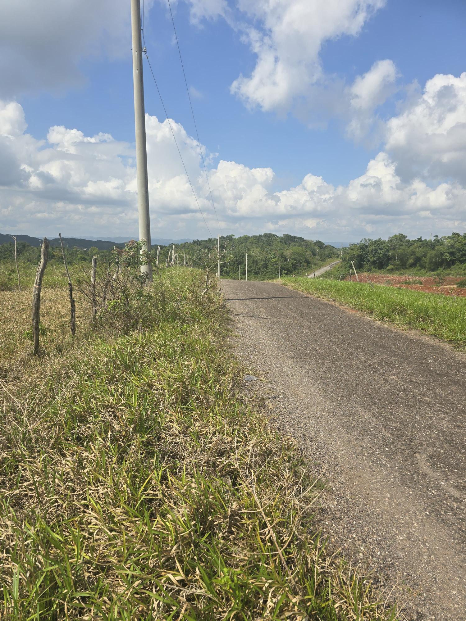 Residential-Land-for-Sale-in-Newark-Grove-Manchester-0.25-Acre First image of 299 Newark Grove in Spur Tree, Manchester, Jamaica - property is For Sale