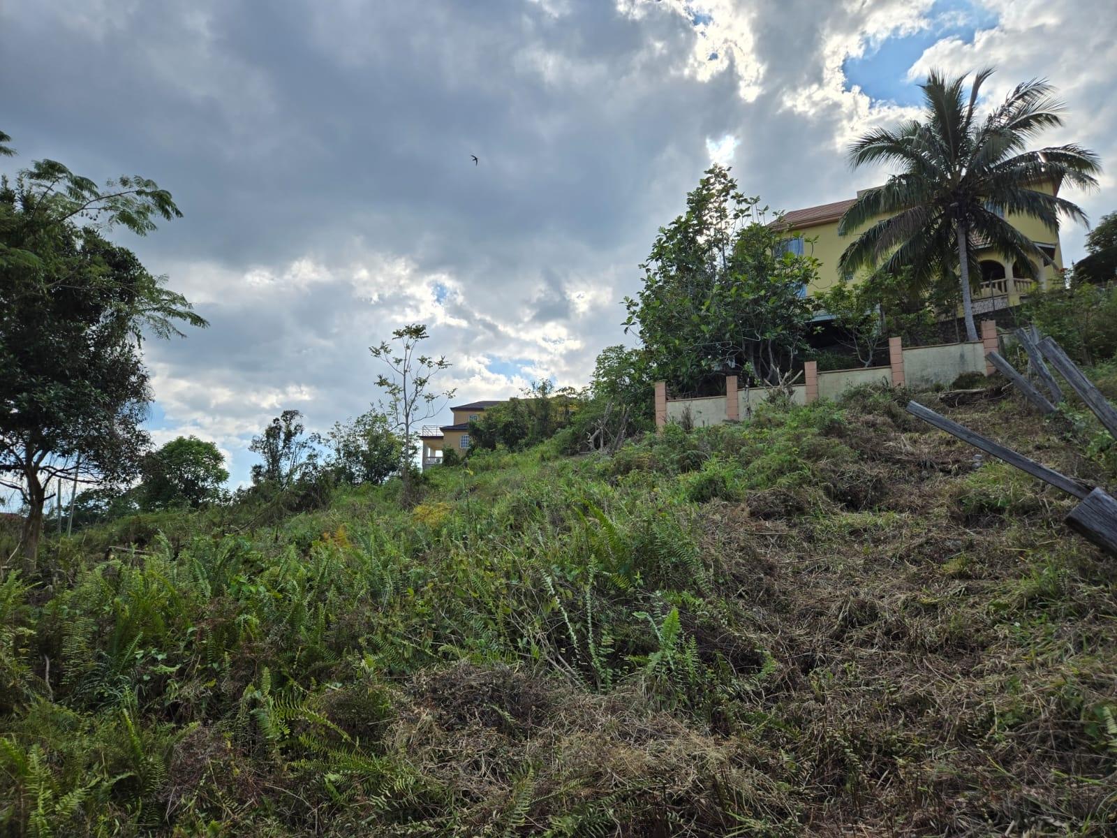 Third image of Lot 8 Beverly Green in Mandeville, Manchester, Jamaica - property is For Sale