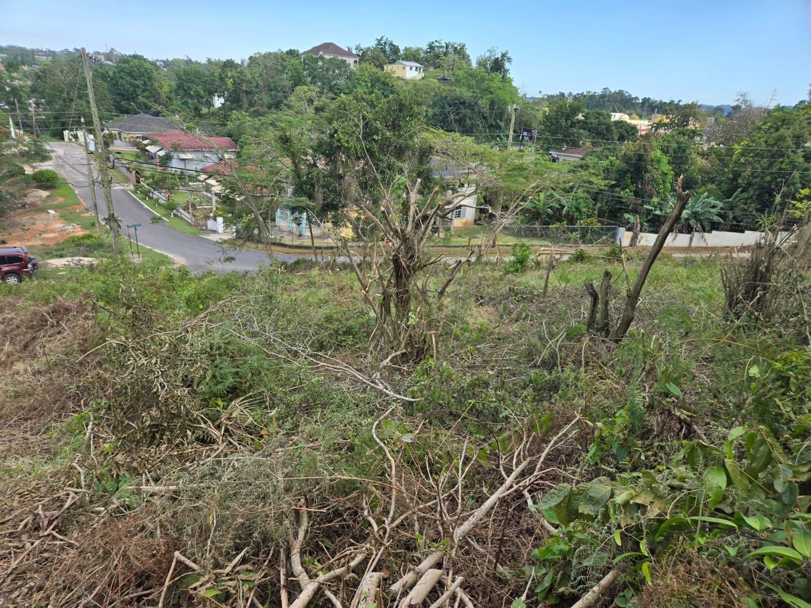 Fourth image of Lot 8 Beverly Green in Mandeville, Manchester, Jamaica - property is For Sale