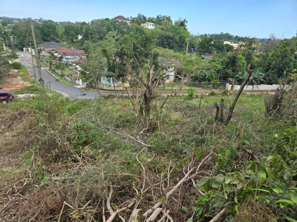 Fourth image of Lot 8 Beverly Green in Mandeville, Manchester, Jamaica - property is For Sale