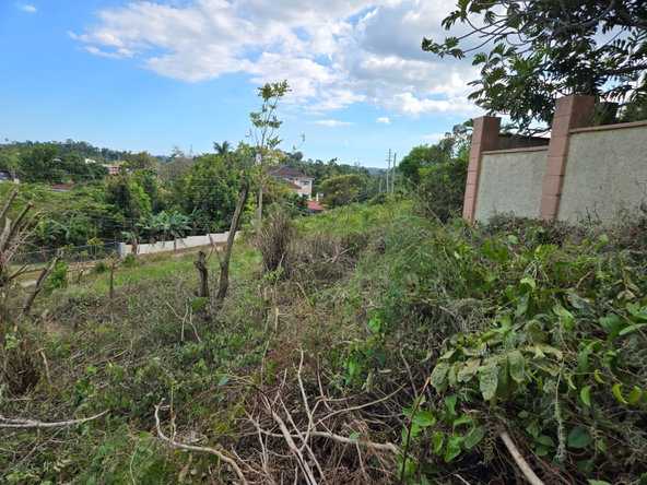 Fifth image of Lot 8 Beverly Green in Mandeville, Manchester, Jamaica - property is For Sale