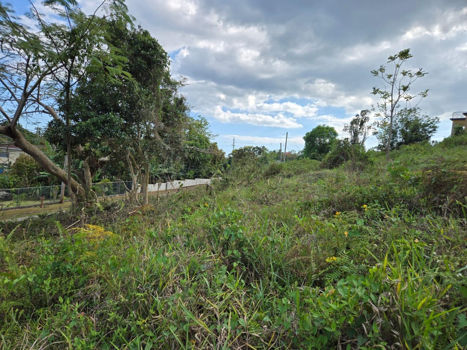 Sixth image of Lot 8 Beverly Green in Mandeville, Manchester, Jamaica - property is For Sale