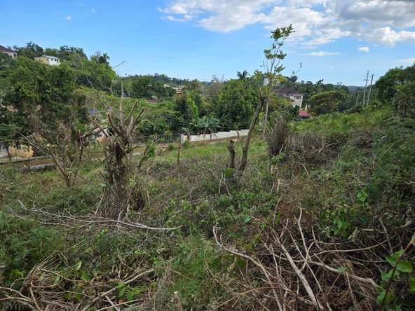 Seventh image of Lot 8 Beverly Green in Mandeville, Manchester, Jamaica - property is For Sale