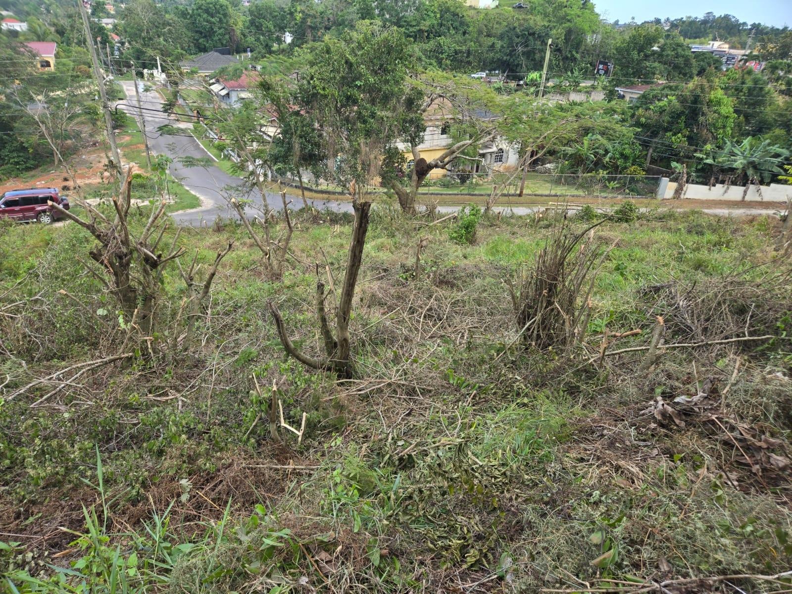 Eighth image of Lot 8 Beverly Green in Mandeville, Manchester, Jamaica - property is For Sale