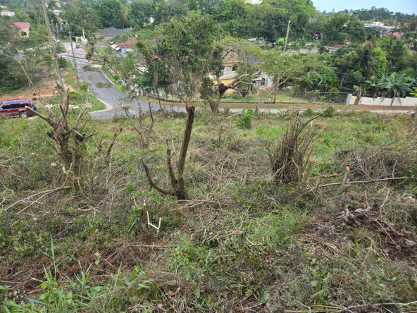 Eighth image of Lot 8 Beverly Green in Mandeville, Manchester, Jamaica - property is For Sale