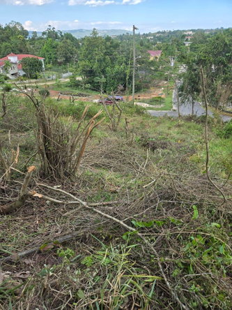 Ninth image of Lot 8 Beverly Green in Mandeville, Manchester, Jamaica - property is For Sale