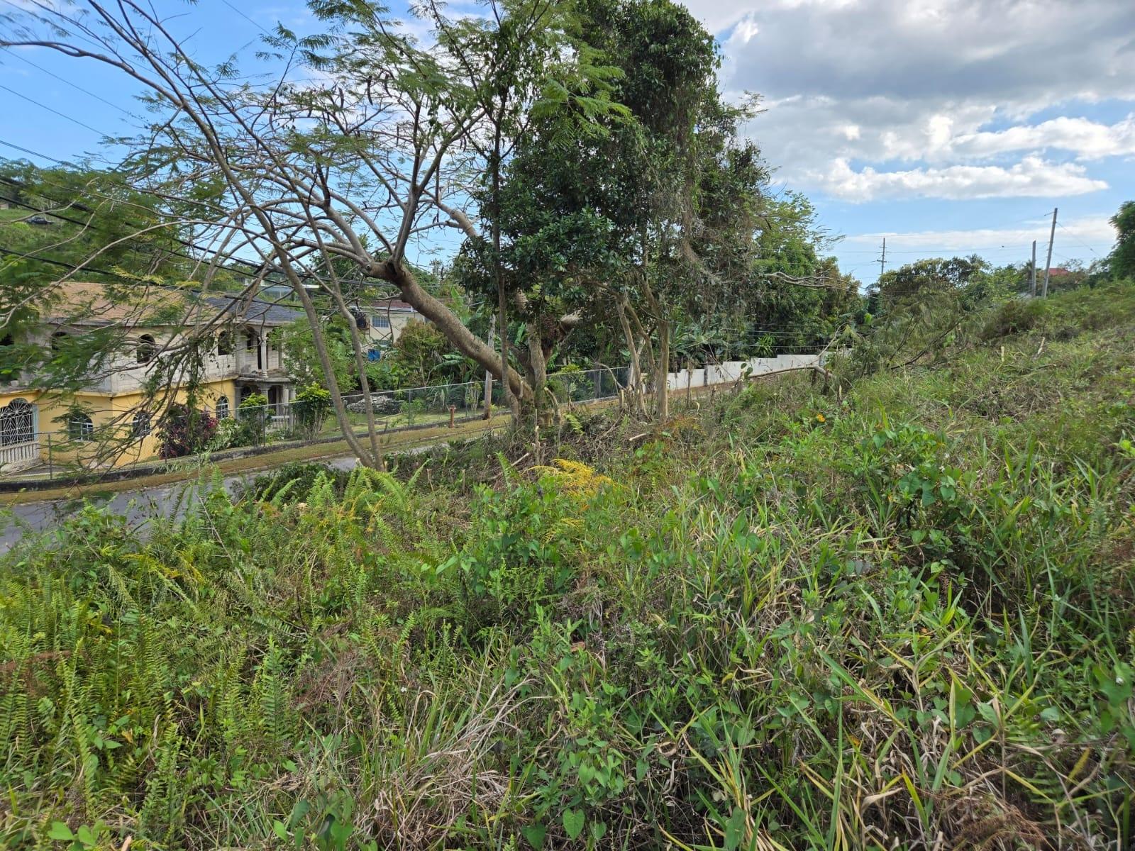 Tenth image of Lot 8 Beverly Green in Mandeville, Manchester, Jamaica - property is For Sale