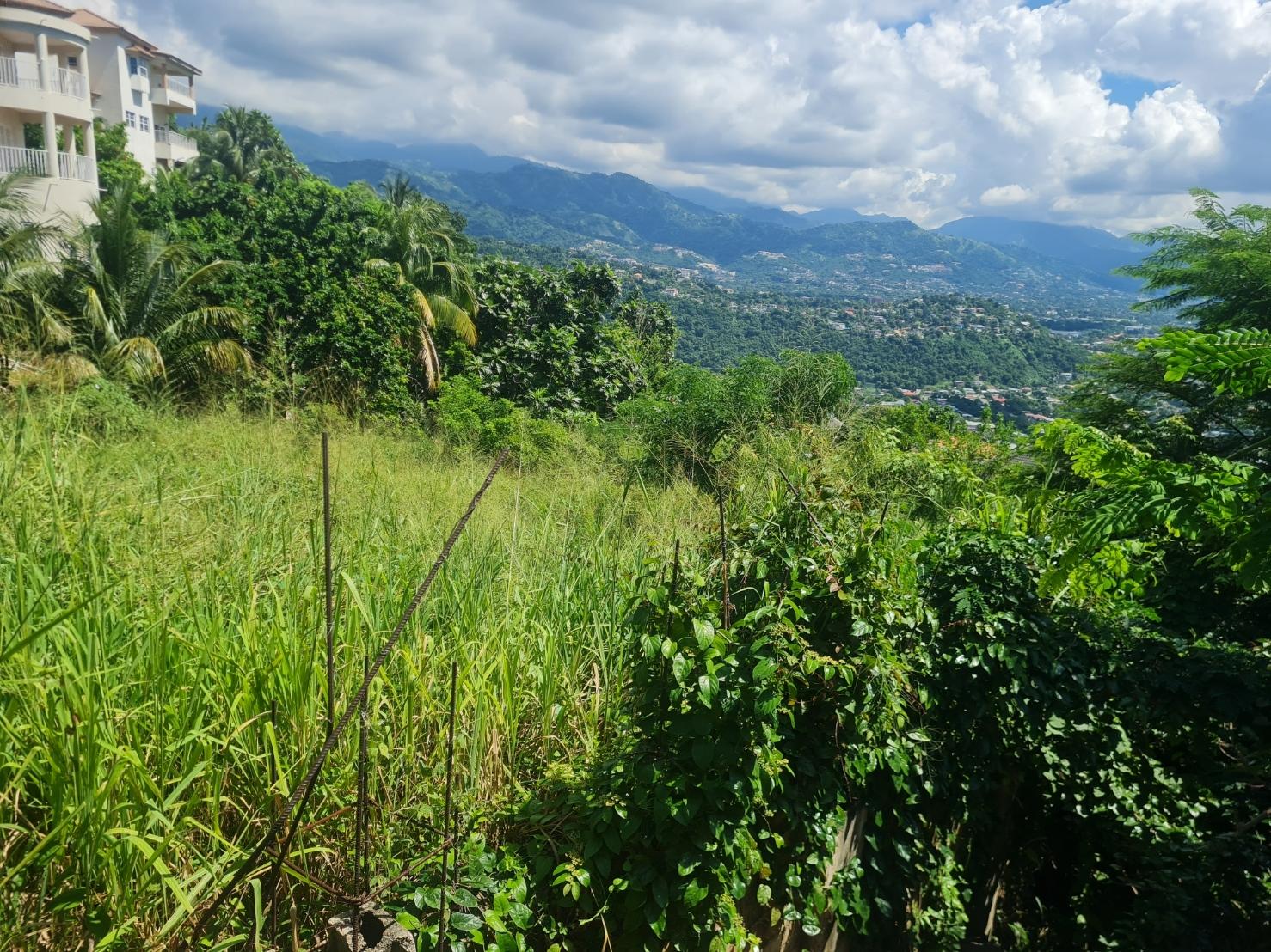 Residential-Lot-for-Sale-in-Chancery-Hall-Kingston-19-16500-sq.-ft Second image of 279 Lady Hamilton Drive in Kingston 19, St. Andrew, Jamaica - property is For Sale