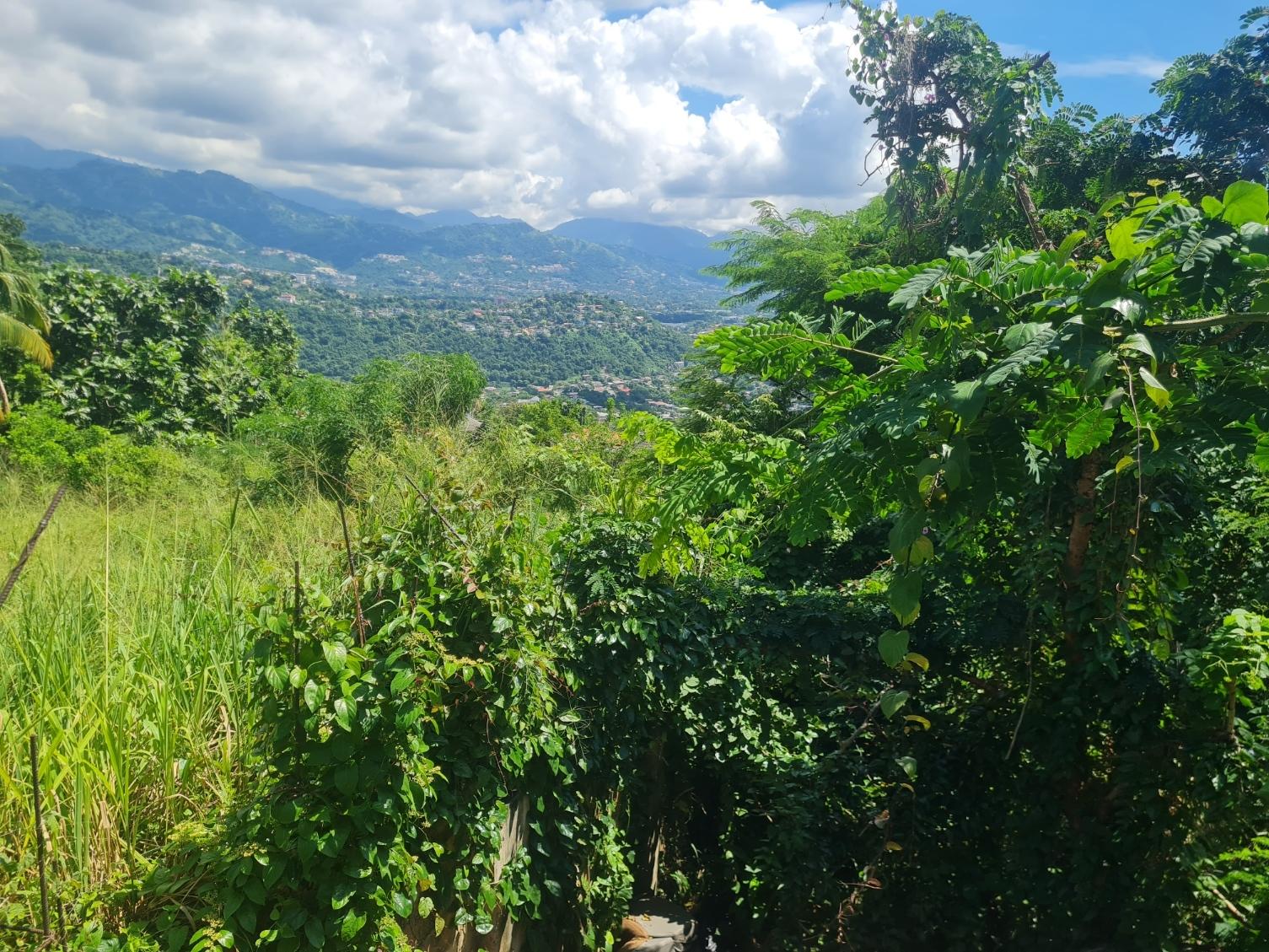 Residential-Lot-for-Sale-in-Chancery-Hall-Kingston-19-16500-sq.-ft Third image of 279 Lady Hamilton Drive in Kingston 19, St. Andrew, Jamaica - property is For Sale
