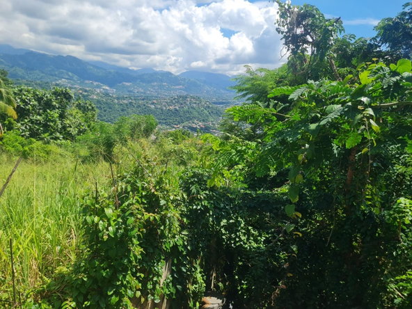 Third image of 279 Lady Hamilton Drive in Kingston 19, St. Andrew, Jamaica - property is For Sale